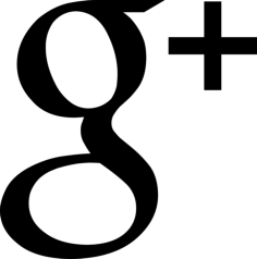 Google X2B Outline Svg Vector, Free Vectors File